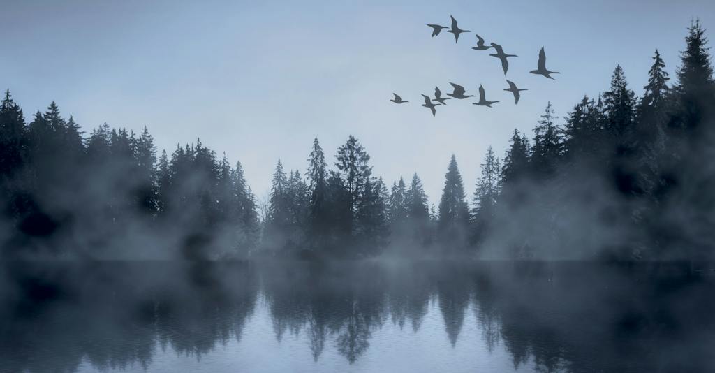 Swan Lake
