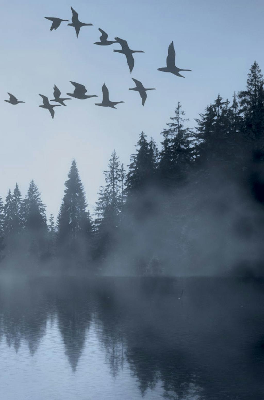Swan Lake