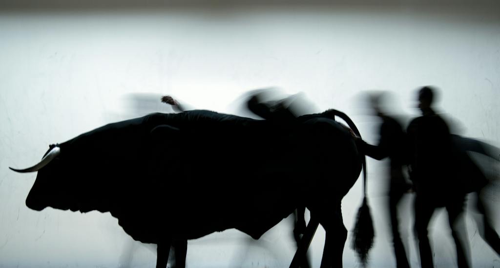Transverse Orientation, foto J. Mommert