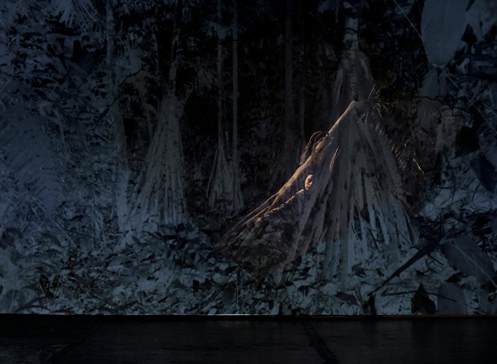 Mapa Teatro: La luna en el Amazonas (photo: Javier Hernandez)
