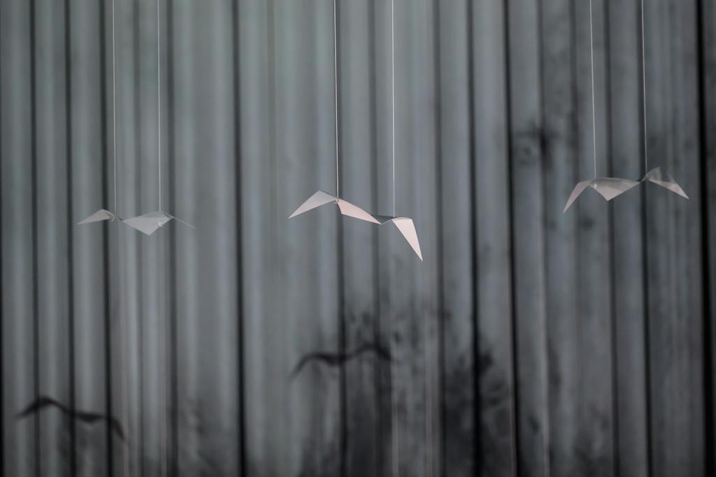 Balet ND| Avant-Garde (4 Seasons) (kostýmní zkouška) - foto: Serghei Gherciu