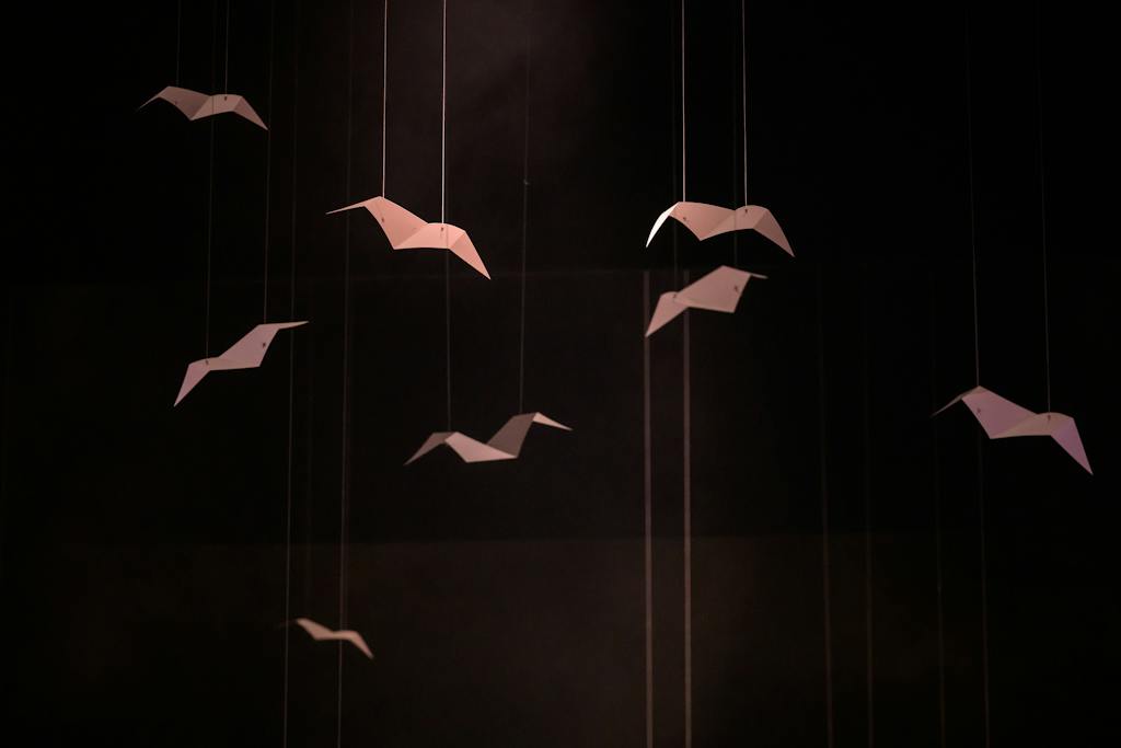 Balet ND | Avant-Garde (4 Seasons) (kostýmní zkouška) - foto: Serghei Gherciu